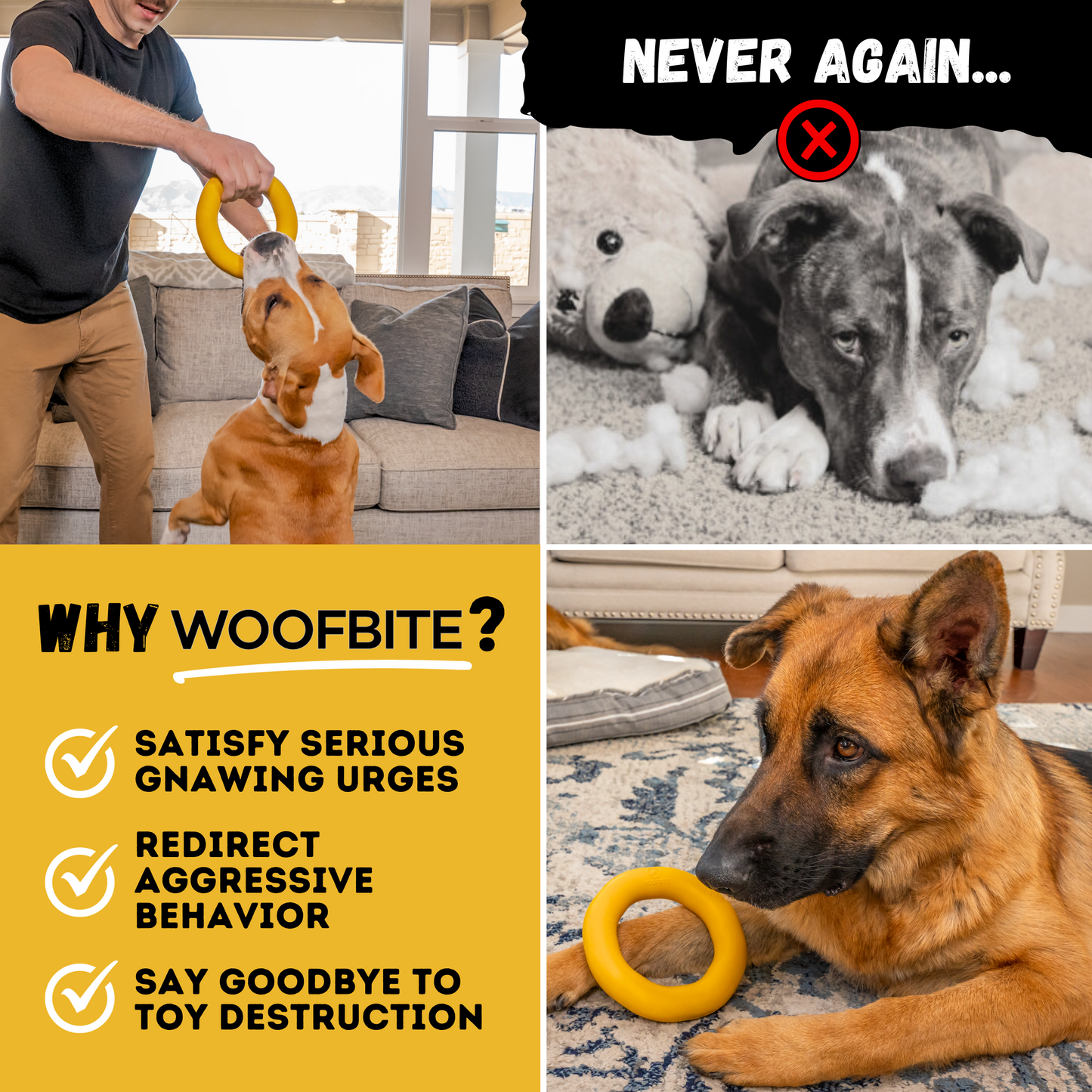 The Woof Ring™